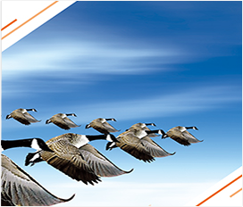 ̸��ɡ�(�й�)-�ٷ���վ