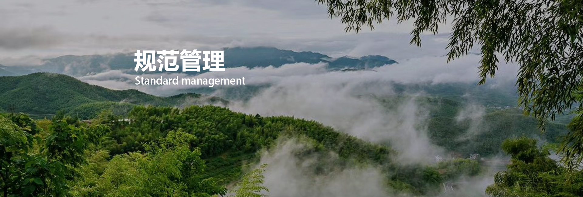 ̸��ɡ�(�й�)-�ٷ���վ